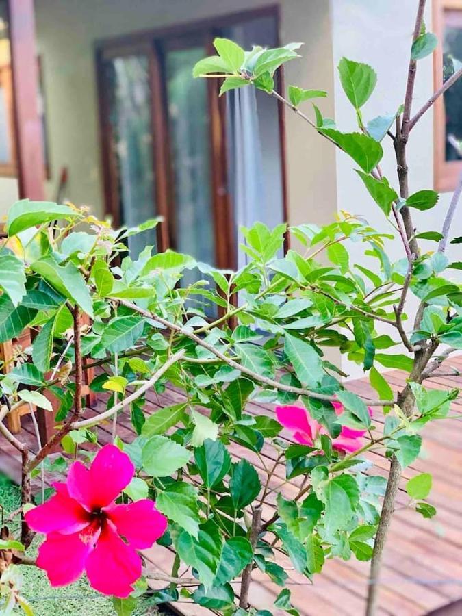 Casa Hibiscus Villa Velha Boipeba Dış mekan fotoğraf
